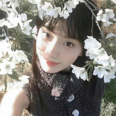 高调人生